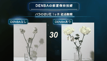 DENBAの空間電位技術とは